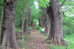 After clearing in 2007